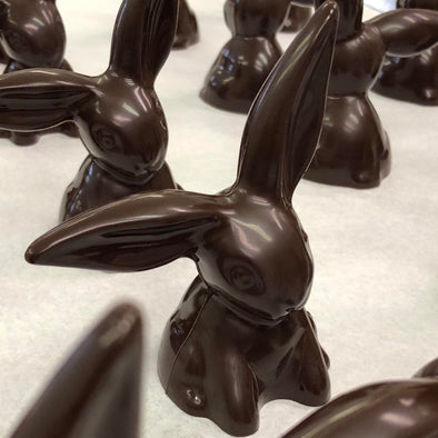 Chocolate Floppy Ear Bunnies