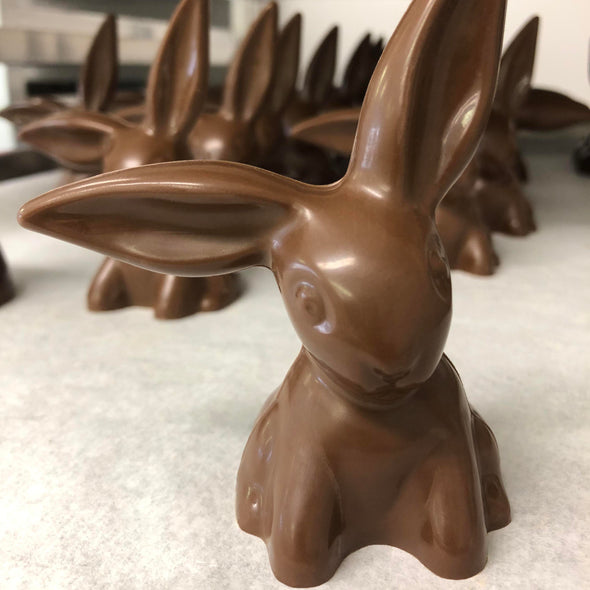 Chocolate Floppy Ear Bunnies